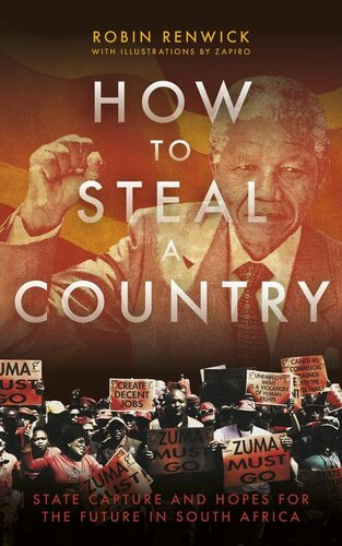 How To Steal A Country State Capture In South Africa Robin Renwick