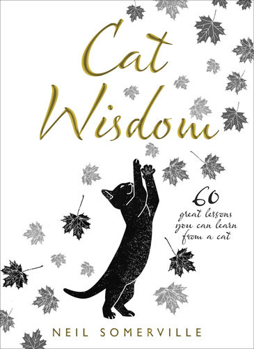 Cat Wisdom 60 Great Lessons You Can Learn From A Cat Neil Somerville