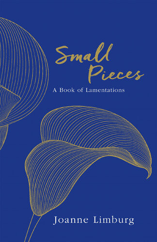 Small Pieces A Book Of Lamentations Joanne Limburg