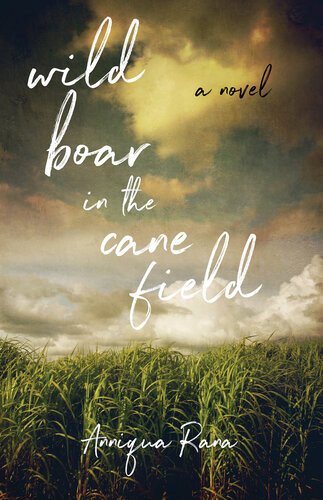 Wild Boar In The Cane Field Anniqua Rana