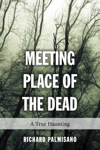 Meeting Place Of The Dead A True Haunting Richard Palmisano