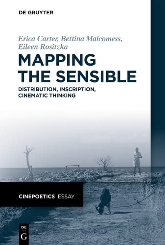 Mapping The Sensible Distribution Inscription Cinematic Thinking Cinepoetics Essay Carter