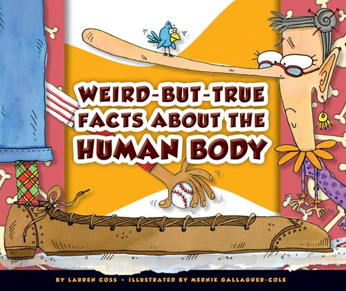 Weirdbuttrue Facts About The Human Body Lauren Coss