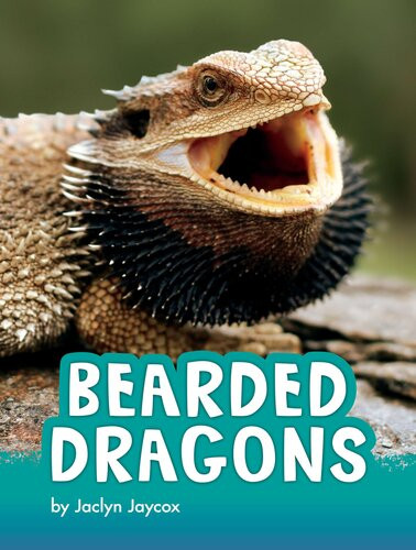 Bearded Dragons Jaclyn Jaycox