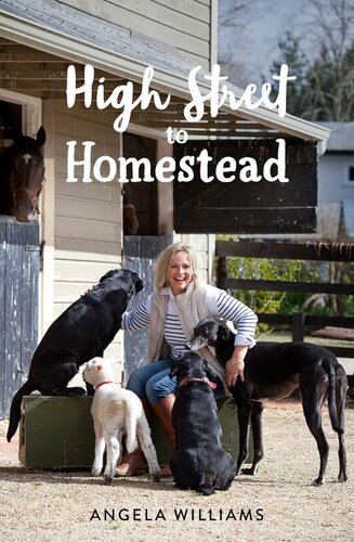 High Street To Homestead Angela Williams