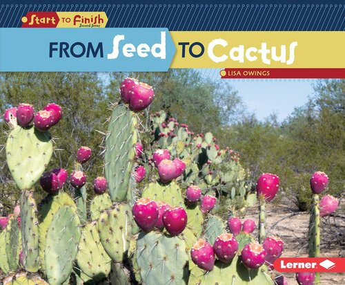 From Seed To Cactus Lisa Owings