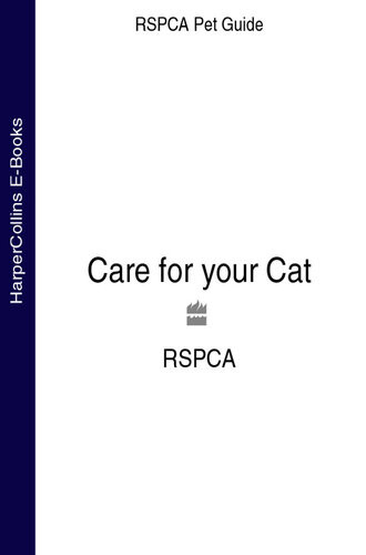 Care For Your Cat Rspca