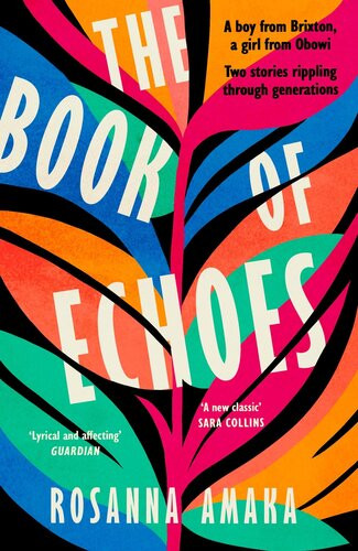The Book Of Echoes An Astonishing Debut Impassioned Lyrical And Affecting Guardian Rosanna Amaka