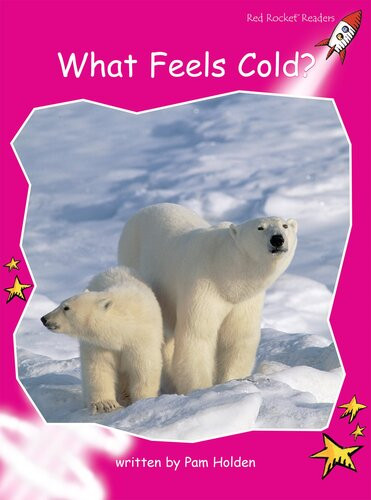 What Feels Cold Readalong Ebook Pam Holden