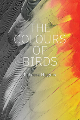 The Colours Of Birds Rebecca Higgins