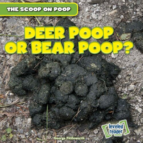 Deer Poop Or Bear Poop George Fittleworth