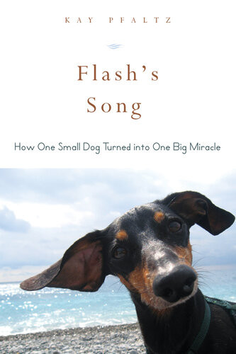Flashs Song How One Small Dog Turned Into One Big Miracle Kay Pfaltz