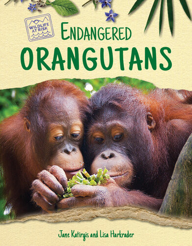 Endangered Orangutans Jane Katirgis Lisa Harkrader