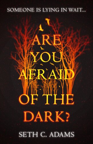 Are You Afraid Of The Dark Seth C Adams