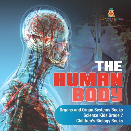 The Human Body Organs And Organ Systems Books Science Kids Grade 7 Childrens Biology Books Baby Professor