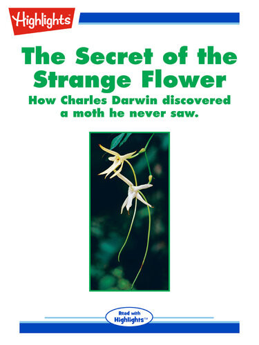 The Secret Of The Strange Flower Linda Herman