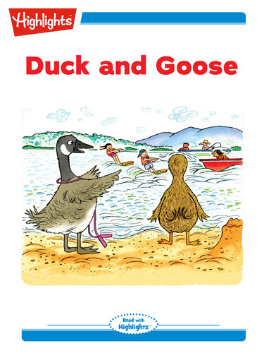 Duck And Goose Larry Dane Brimner
