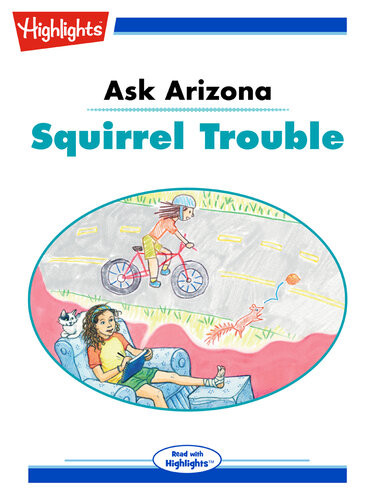 Ask Arizona Squirrel Trouble Lissa Rovetch