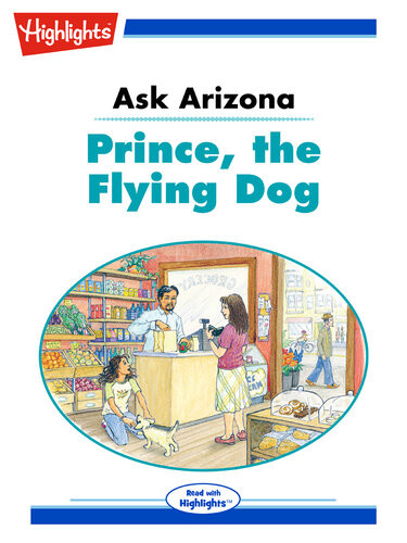 Ask Arizona Prince The Flying Dog Lissa Rovetch