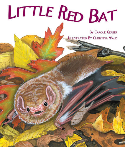Little Red Bat Carole Gerber