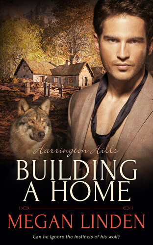 Building A Home Megan Linden