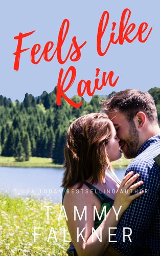 Feels Like Rain Tammy Falkner