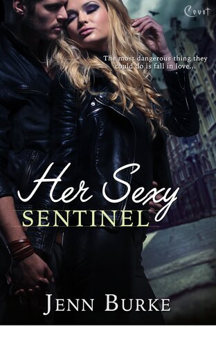 Her Sexy Sentinel Jenn Burke