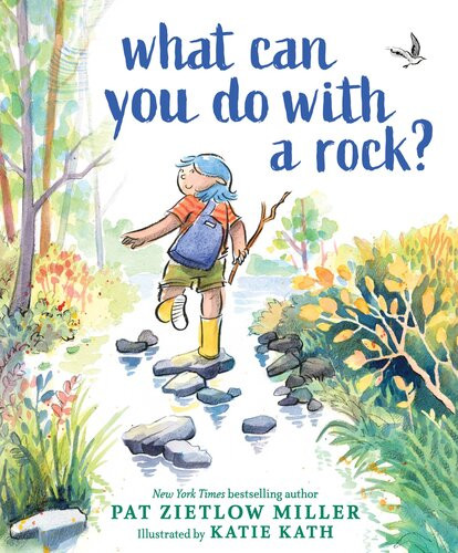 What Can You Do With A Rock Pat Zietlow Miller