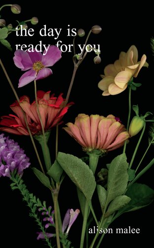 The Day Is Ready For You Alison Malee