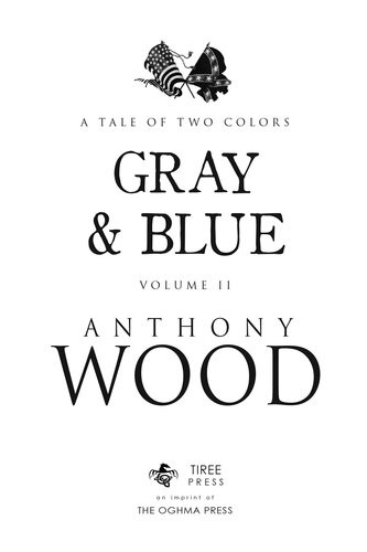 Gray Blue A Story Of The Civil War Anthony Wood
