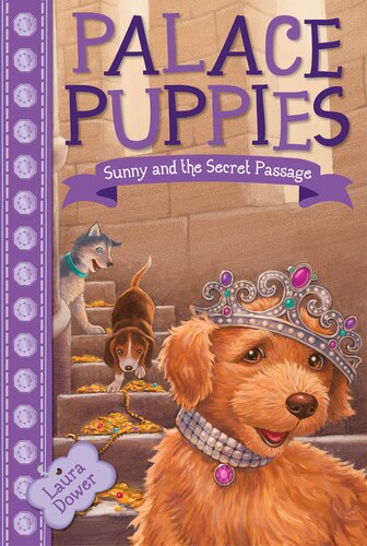 Sunny And The Secret Passage Laura Dower