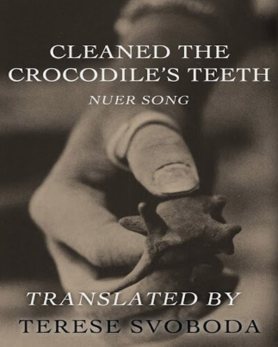 Cleaned The Crocodiles Teeth Terese Svoboda