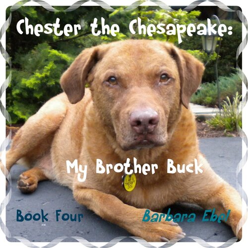 Chester The Chesapeake My Brother Buck Barbara Ebel