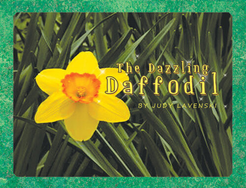 The Dazzling Daffodil Judy Lavenski