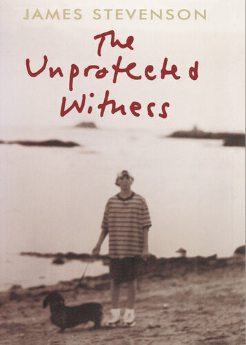 The Unprotected Witness James Stevenson