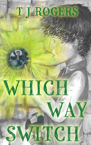 Which Way Switch T J Rogers