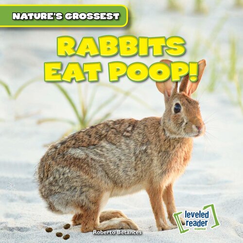 Rabbits Eat Poop Roberto Betances