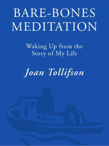 Barebones Meditation Waking Up From The Story Of My Life Joan Tollifson