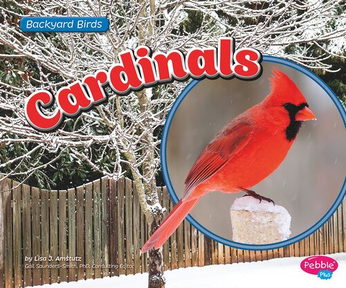 Cardinals Lisa J Amstutz