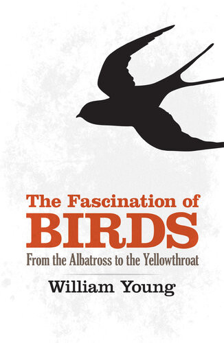 The Fascination Of Birds William Young