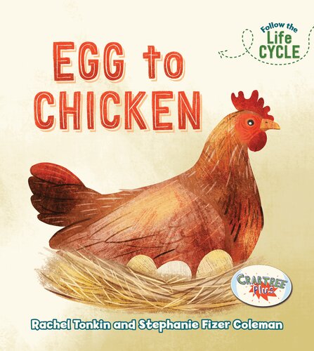 Egg To Chicken Rachel Tonkin