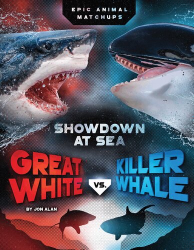 Great White Vs Killer Whale Jon Alan