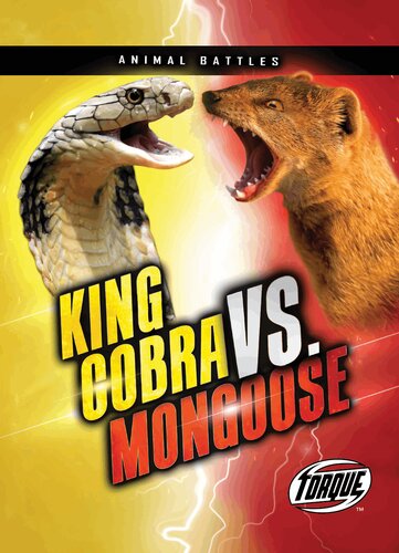 King Cobra Vs Mongoose Kieran Downs