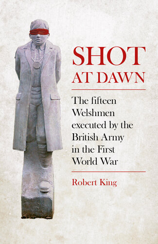 Shot At Dawn The Fifteen Welshmen Executed By The British Army In The First World War Robert King