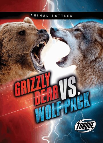 Grizzly Bear Vs Wolf Pack Nathan Sommer