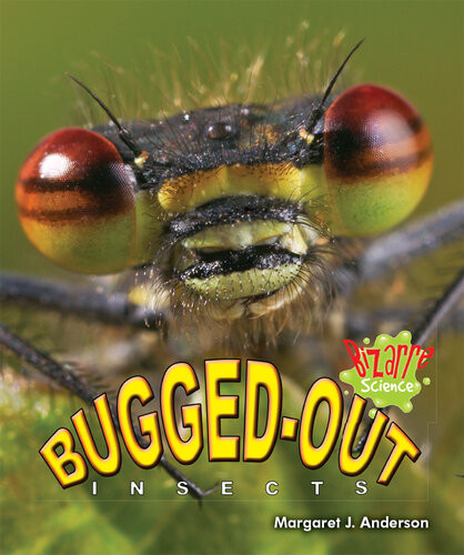 Buggedout Insects Margaret J Anderson
