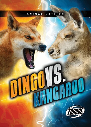 Dingo Vs Kangaroo Kieran Downs