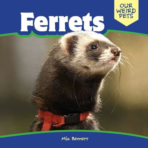Ferrets Mia Bennett