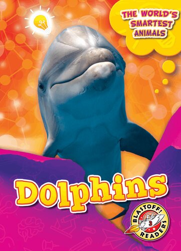 Dolphins Joanne Mattern
