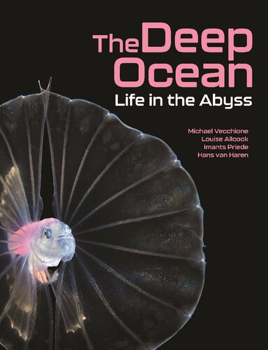 The Deep Ocean Life In The Abyss Louise Allcock Michael Vecchione